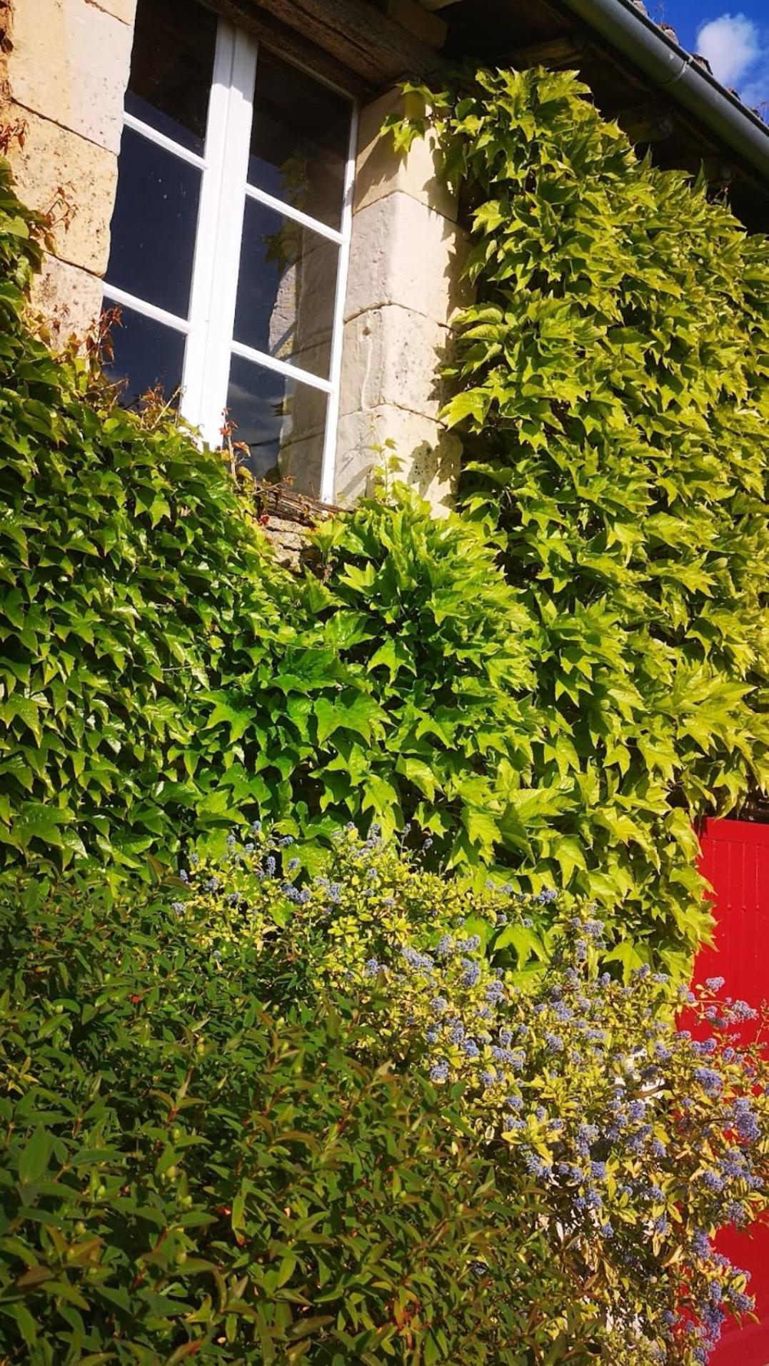 La Ferme Du Grand Bois Apartamento Mouterre-Silly Exterior foto